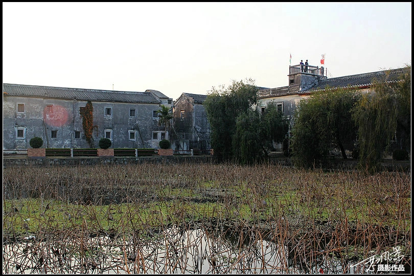100.jpg