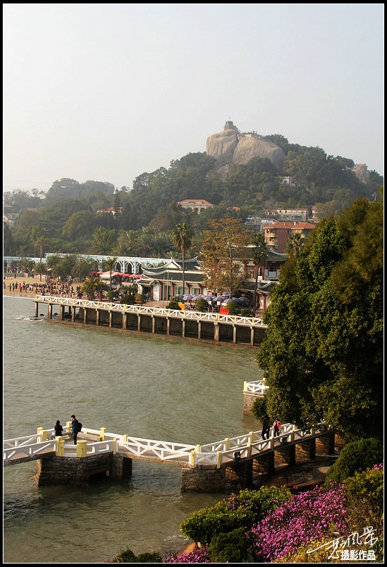 83.jpg