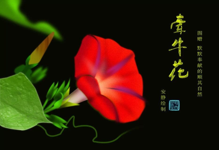 ǣţ��.jpg