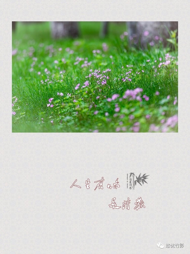 ΢��ͼƬ_20210826165524.jpg