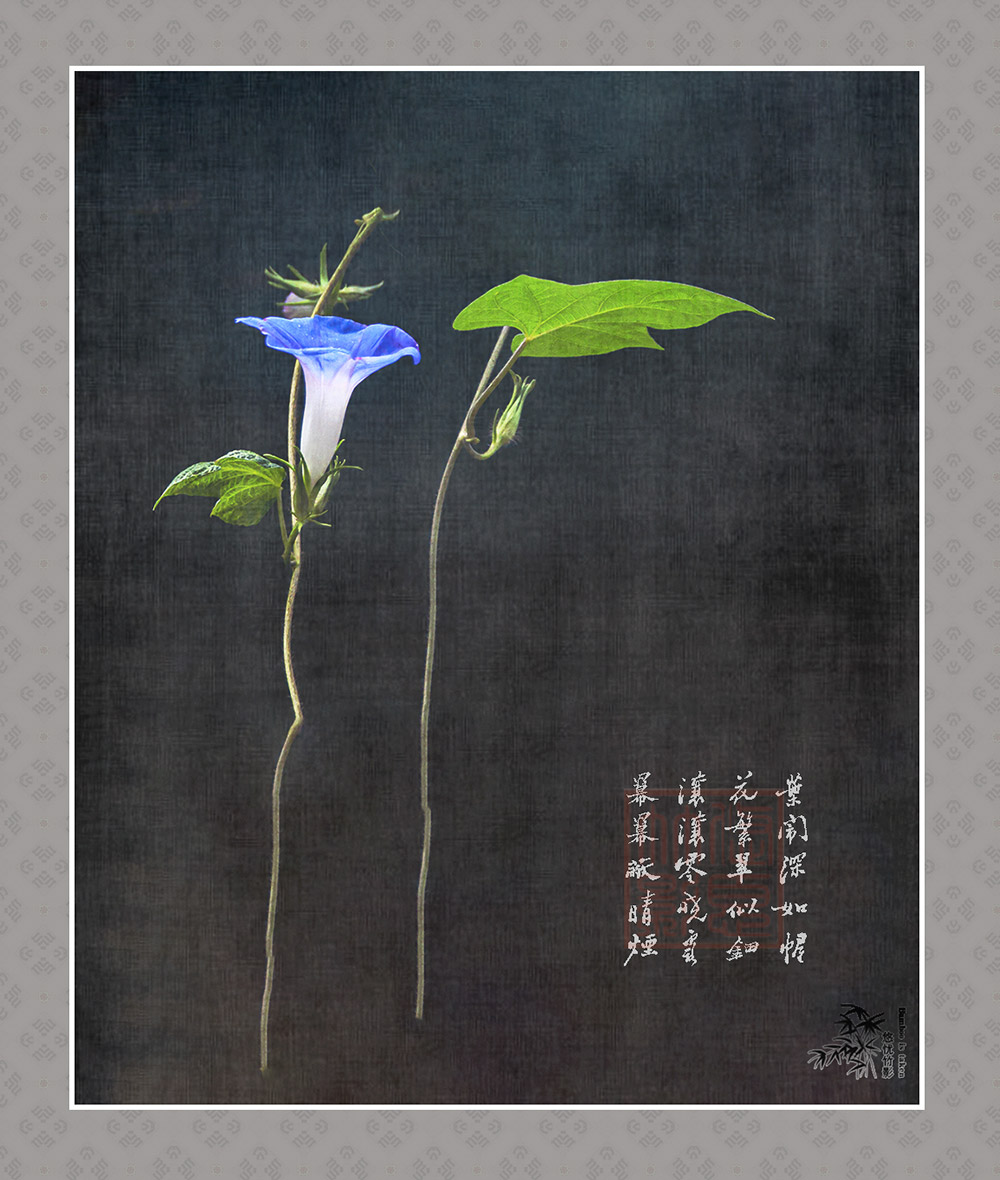 ǣţ��3.jpg