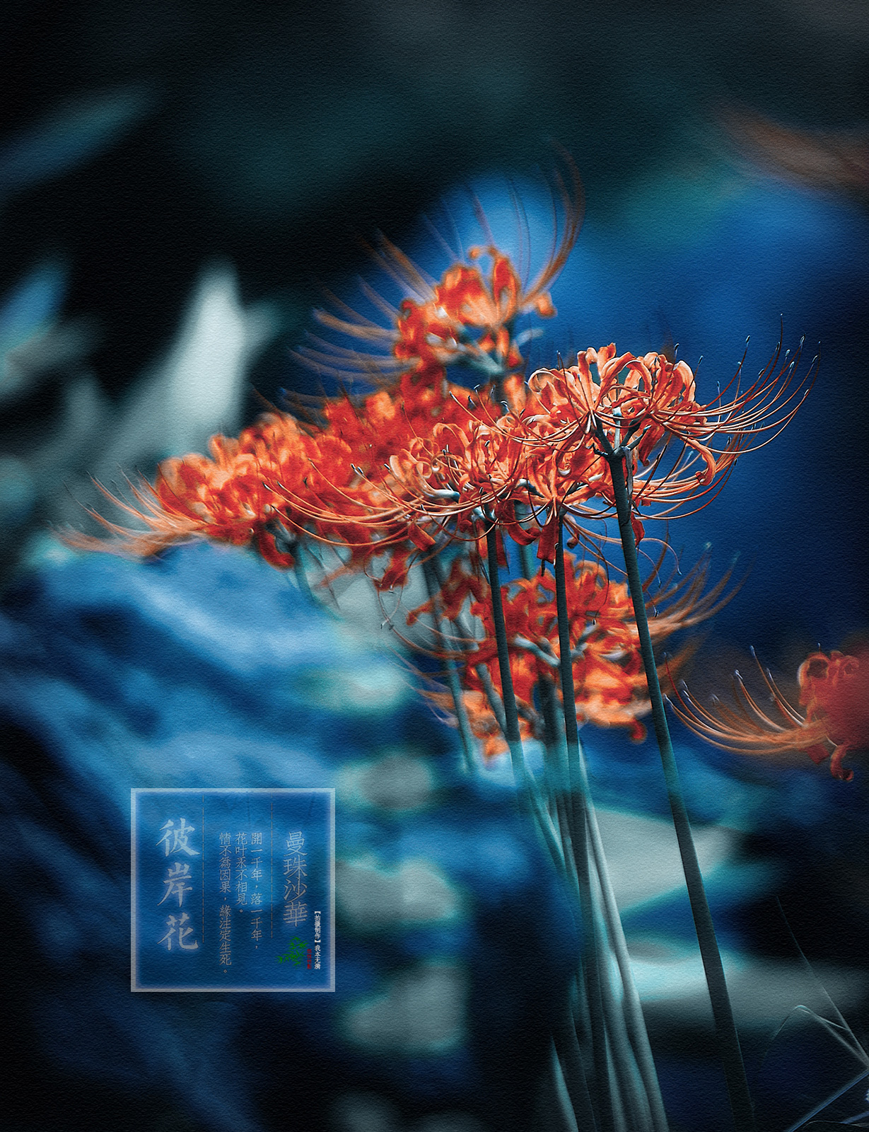 _HXY2823-1-����.jpg
