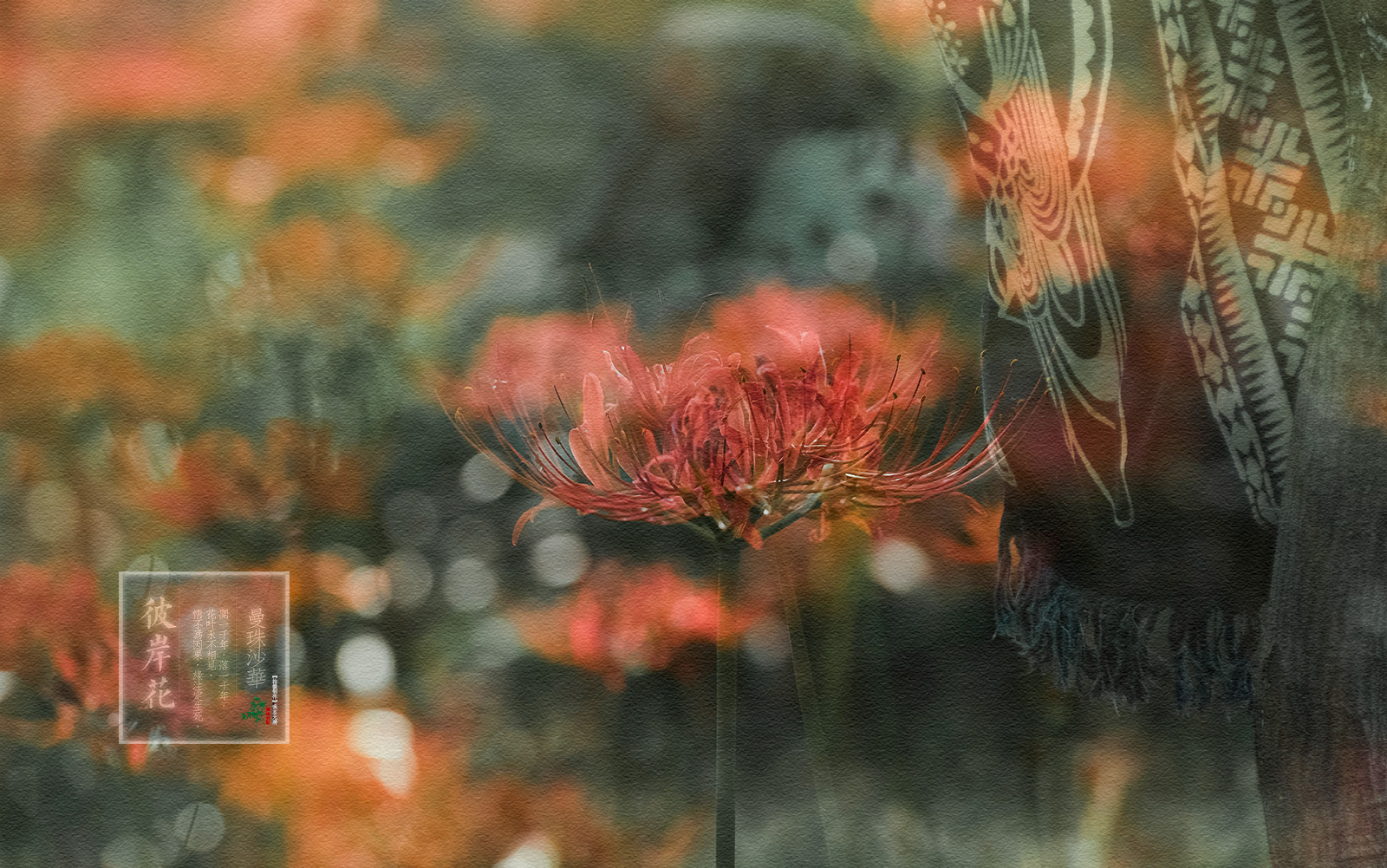 _DSC0382-����.jpg