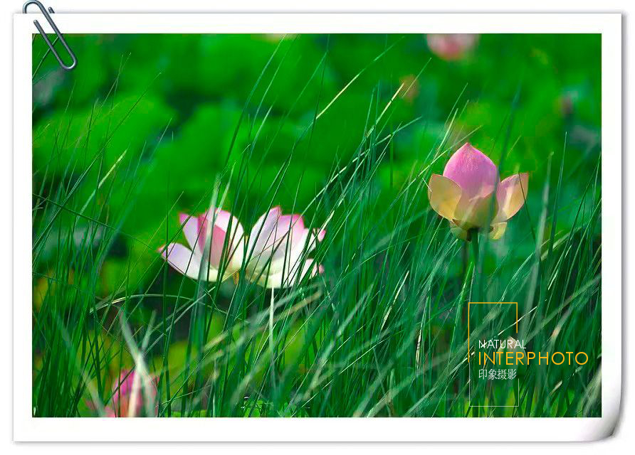 b.jpg