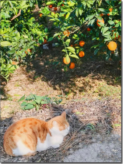 ΢��ͼƬ_20240112171707.jpg
