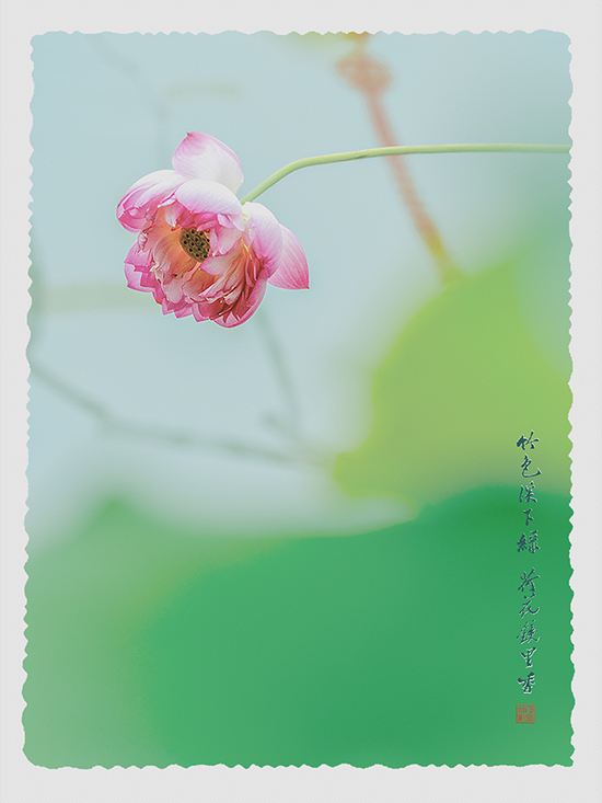 001 ����.jpg