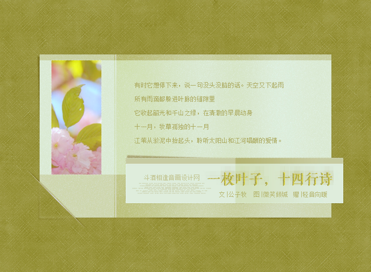 Ҷ��2.jpg