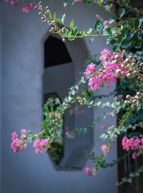 HXY_5695 ���� 2.jpg
