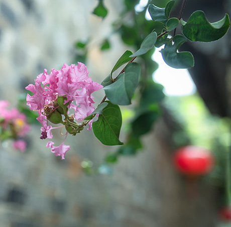 HXY_5330 ����.jpg
