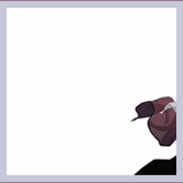 ������2.gif