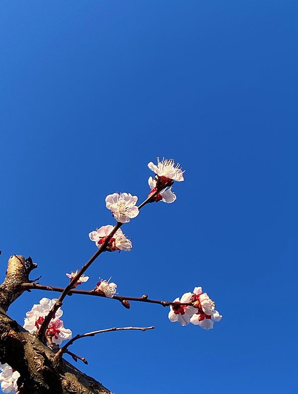 B568BCD5-D650-4835-9809-350FF067671A.jpeg