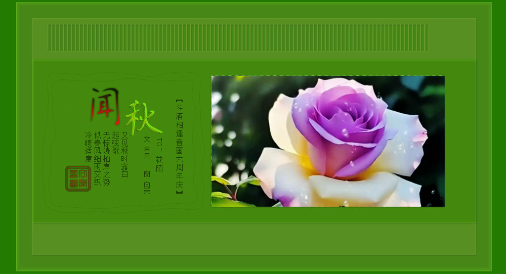 wfnqiu1.jpg
