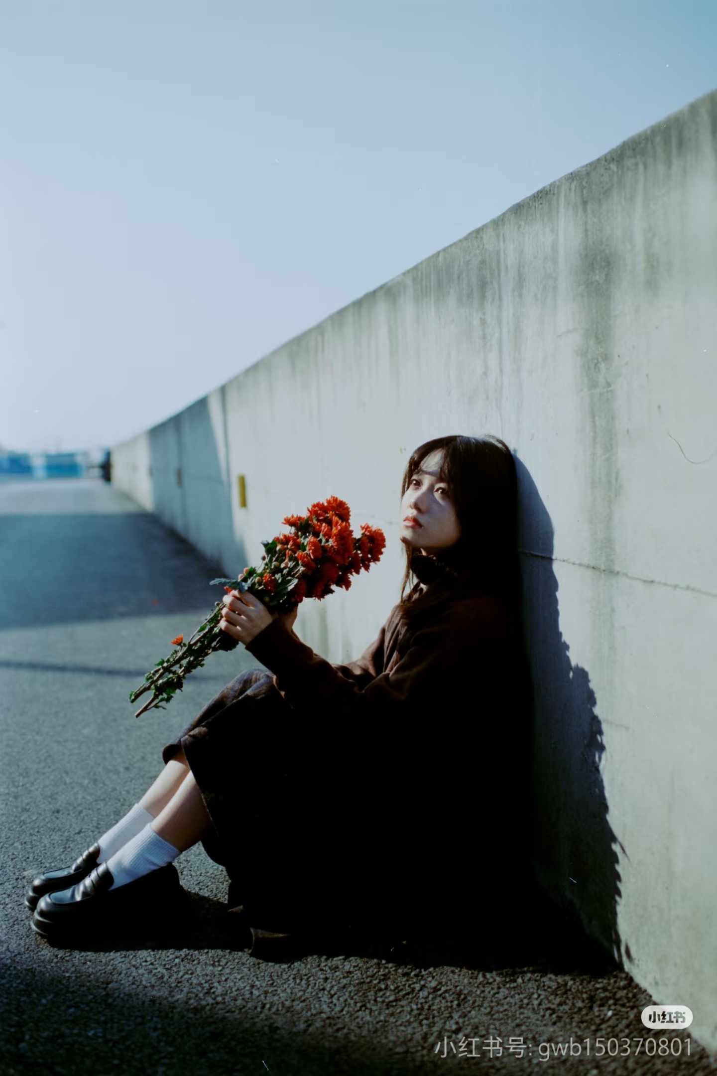 9c3469a9b20d84ce8187ba317ed5081e19ae8d02b33d0-UNroNF.png