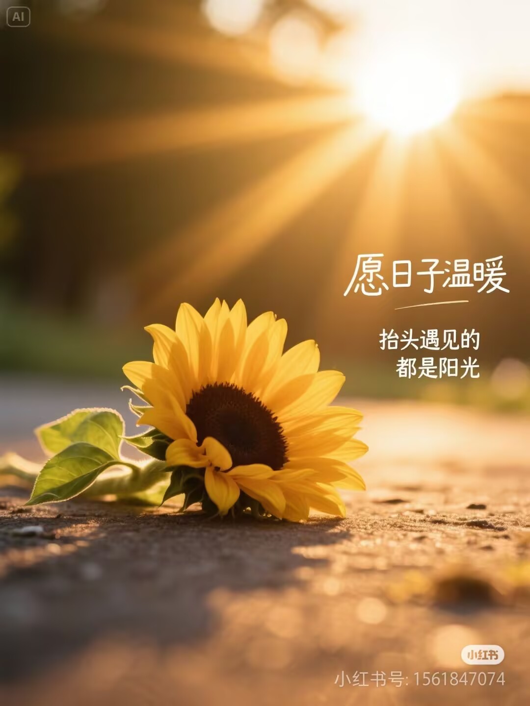 CDF69C9528518A1DF425832645CE4385.jpg