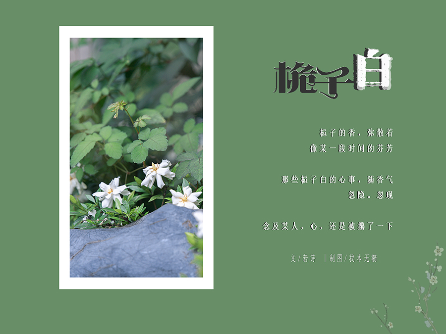 ���Ӱ�3 ����.jpg