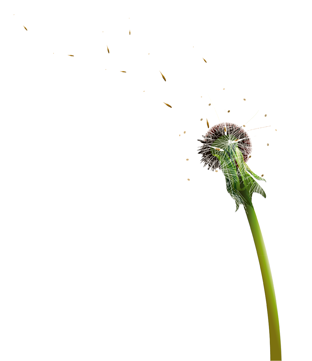 huaban-2146127081.png