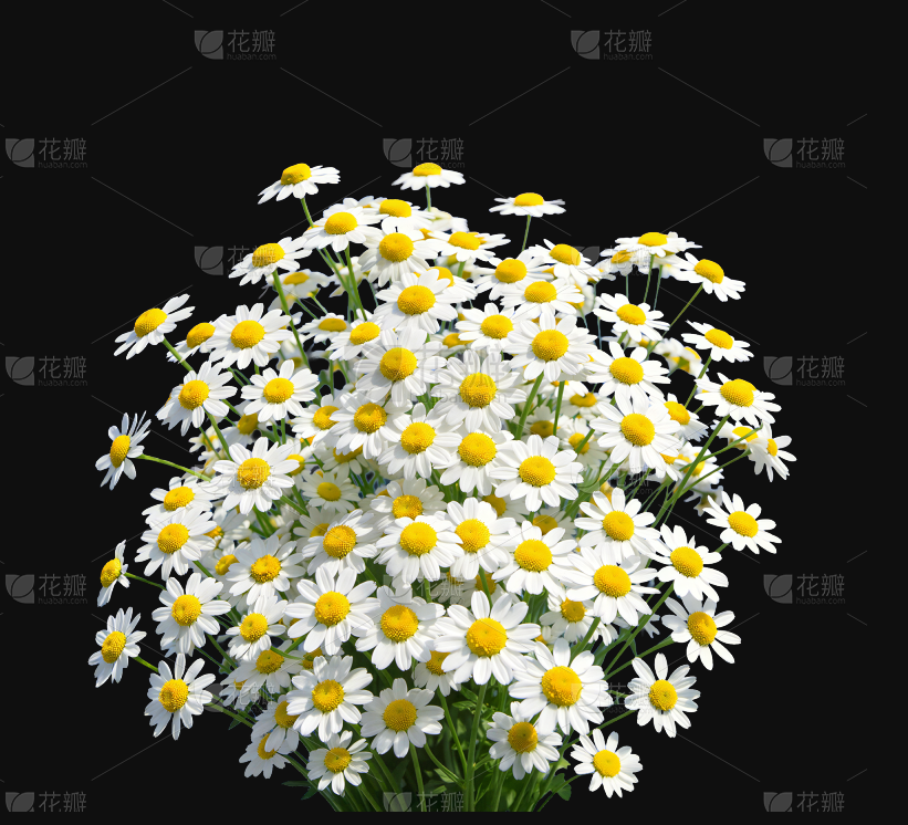 QQͼƬ20260605130710.png