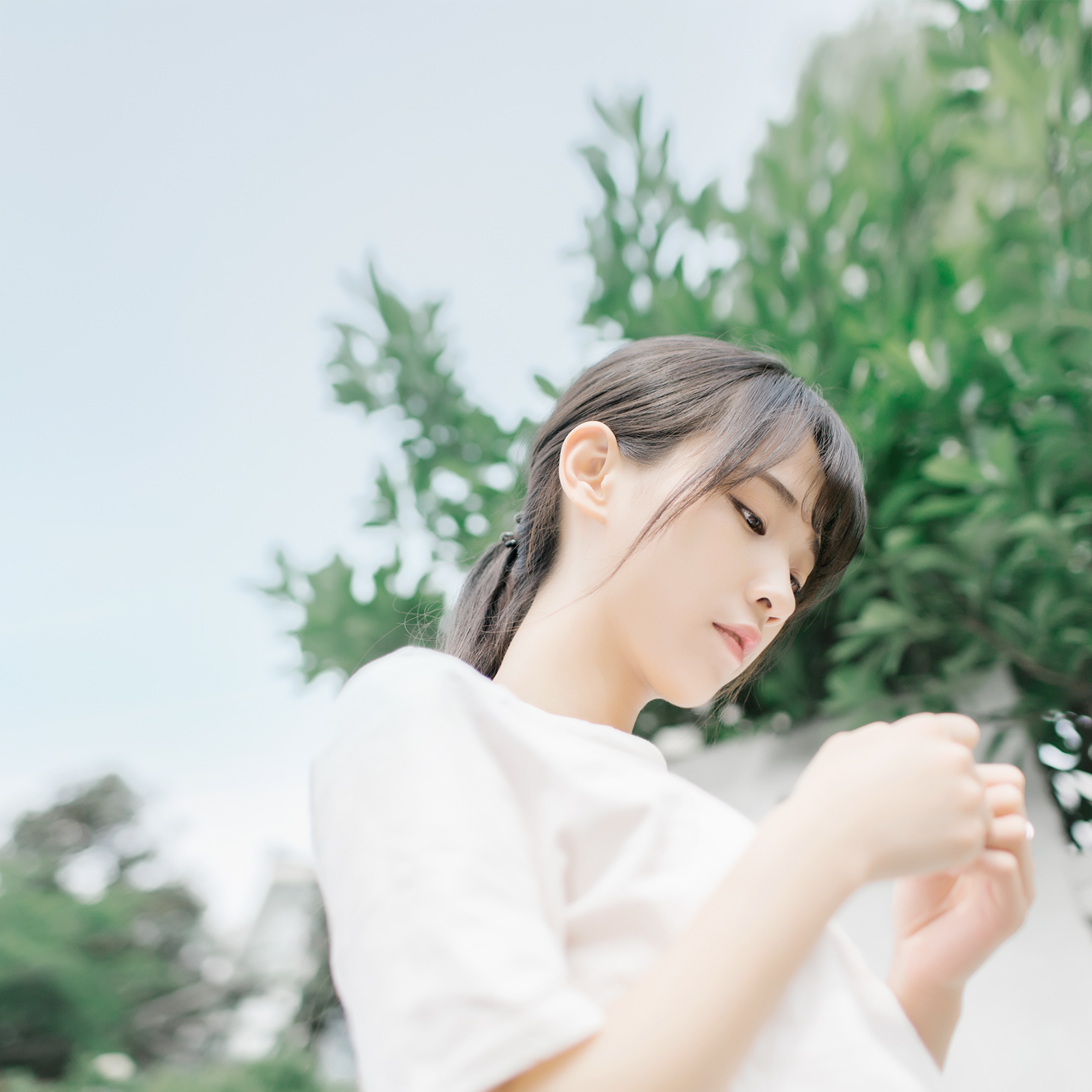 huaban-865839374.jpg