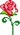 ���ǻ�